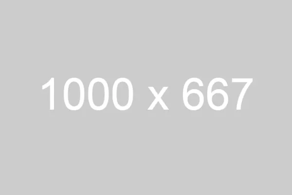dummy_1000x667_ffffff_cccccc (1)